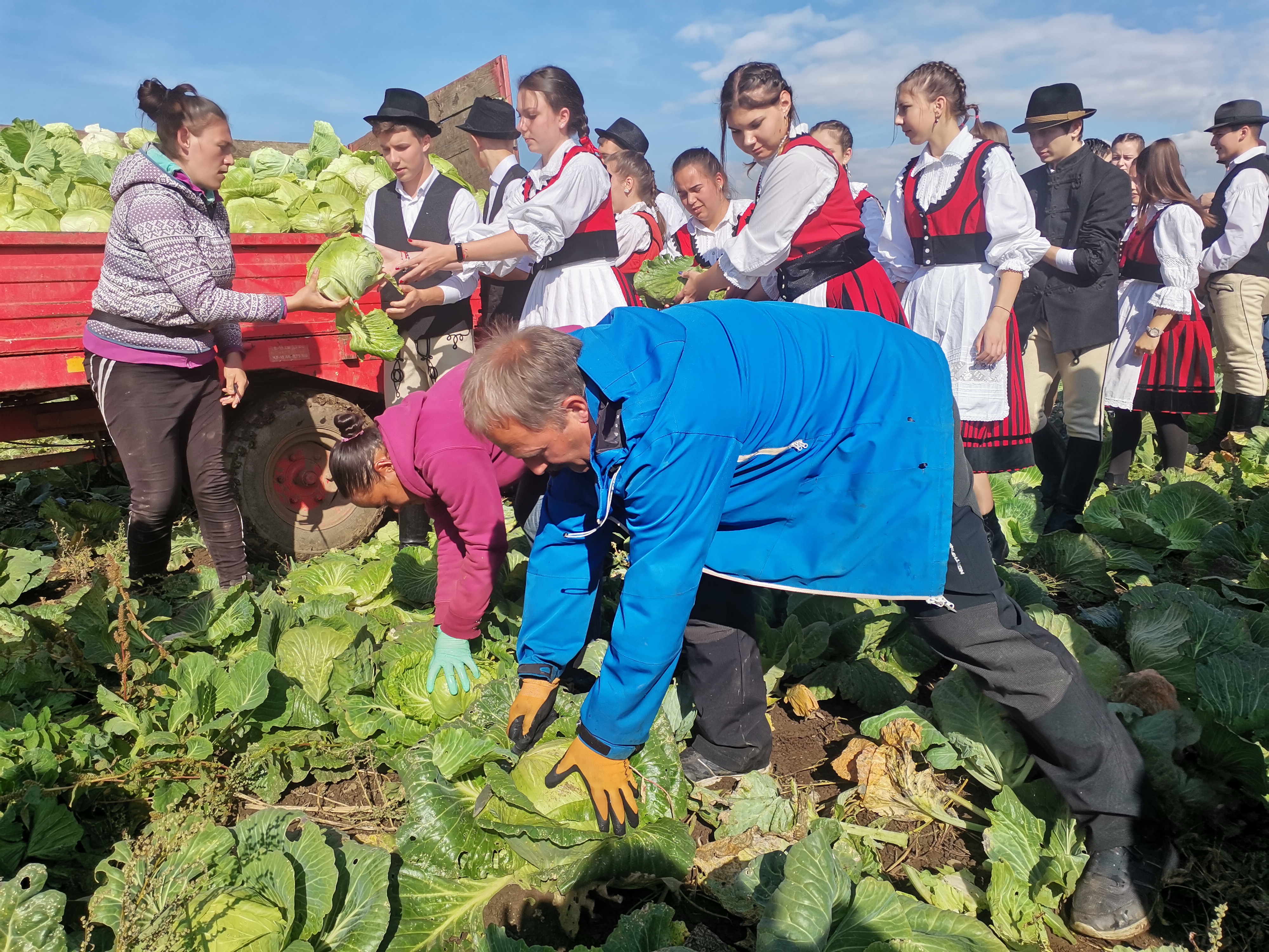 Barabás-Pál Hajnalka